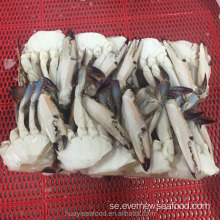 fryst skurna krabba skaldjur